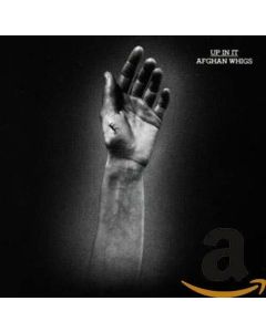 AFGHAN WHIGS UP IN IT MUSIC CD