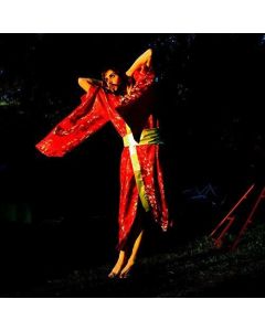 Never Never Love [13trx]