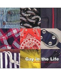 GAY IN THE LIFE ADVENTURES IN QUEER UNDERGROUND MUSIC CD