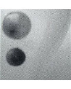 Underworld 100 Days Off Bonus Disc Music CD HUNDRED AUSTRALIAN TOUR EDITION 2CD