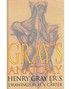 Gray's Anatomy Textbook Henry Gray Drawings by H.V. Carter