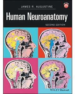 Human Neuroanatomy