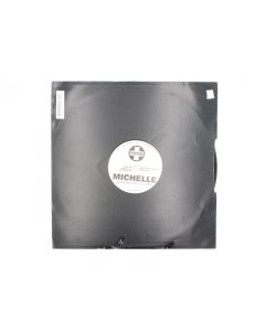 MICHELLE STANDING HERE ALL ALONE VINYL RECORD LP 12TIVDJ54