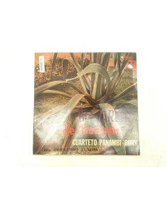 DEL JARDIN DE ASUNCION CUARTETO PANAMBI-RORY VINYL RECORD XLD 36045 RARE