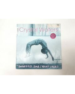CRYSTAL WATERS GHETTO DAY WHAT I NEED VINYL RECORD 658 959-1 COLLECTORS RARE