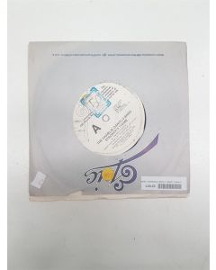 CHARLIE DANIEL'S BAND STROKER'S THEME & IN AMERICA VINYL RECORD 45RPM 45R ES 888