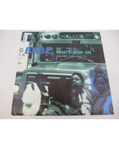 BABE WHAT'S GOING ON VINYL RECORD X14856 9399601485660 LP