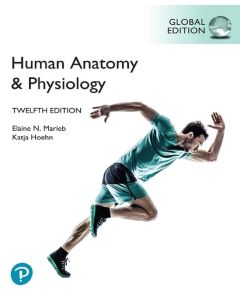 Human Anatomy and Physiology 12th Edition by Marieb GLOBAL EDITION Ed Textbook
