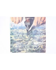 I.M.GM DISTURBING THE PEACE VINYL RECORD LP L-36619 SMX53268