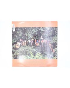 PAUL SIMON THE RHYTHM OF THE SAINTS YOU CAN CALL ME VINYL RECORD LP