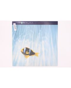 THE BIG DISH SWIMMER VINYL RECORD LP V2374 V2374B